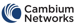 cambium